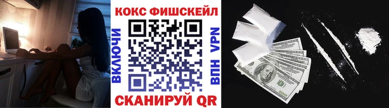 Cocaine FishScale  Купить  Новая Ляля 
