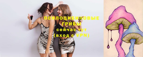 ПСИЛОЦИБИНОВЫЕ ГРИБЫ Лиски