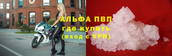 гидра Липки