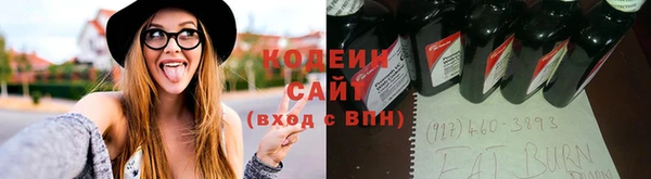 ПСИЛОЦИБИНОВЫЕ ГРИБЫ Лиски