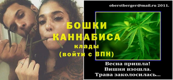 ПСИЛОЦИБИНОВЫЕ ГРИБЫ Лиски